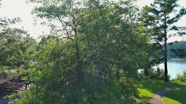 ascending aerial footage of a gorgeous summer landscape at Proctor Landing park with rippling lake water, lush green trees and grass with blue sky and clouds at Lake Acworth in Acworth Georgia USA