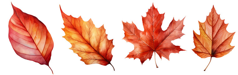 red maple leaf. generative ai 