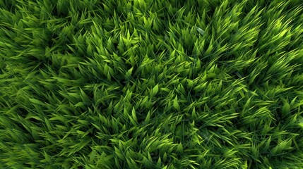 closeup of artificial green grass