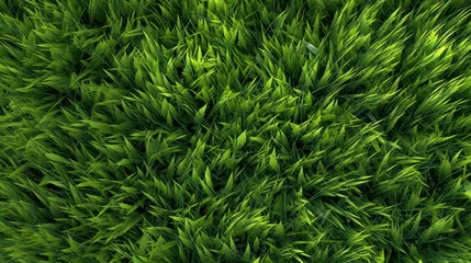 Keuken foto achterwand Gras closeup of artificial green grass