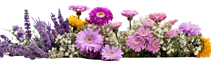 Lavenders, Daisies, Carnations On white