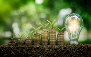 green business Coin piles and seedlings concepts are growing on top, finance and investing in sustainability and carbon credits using renewable energy can limit climate change.