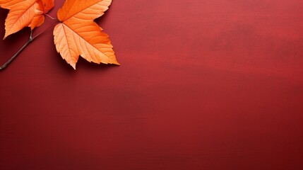 Naklejka na ściany i meble AI generated of a close up photo of a reddish autumn leaf with blank space for text, in the style of vibrant and lively hues, vibrant stage backdrops, northwest school, gold and crimson,