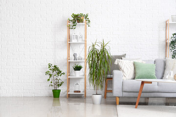 Interior of light living room with grey sofa, coffee table and houseplants