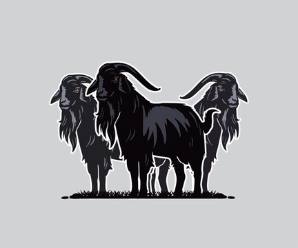 BLACK KIKO GOAT STANDING LOGO, silhouette of black rams playing in field vector illustrations.