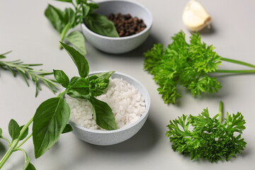 Composition with fresh herbs and spices on grey background, closeup