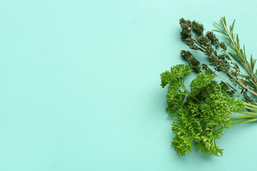 Bunch of fresh herbs on color background