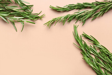 Twigs of fresh rosemary on color background