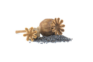 Dried poppy pod on heap of poppy seeds over white