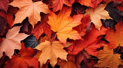 Fototapeta premium Close up of Autumn leaves image in the style of light orange and light crimson, AI generated.