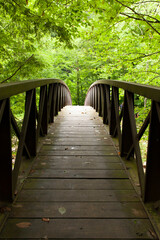 wooden bridge on trail