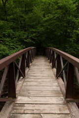 bridge on trail