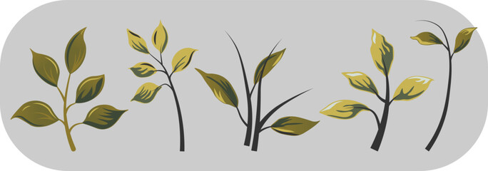 Set of leaf illustration.