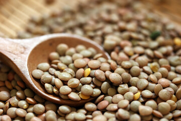 竹ざるに広げたレンズ豆