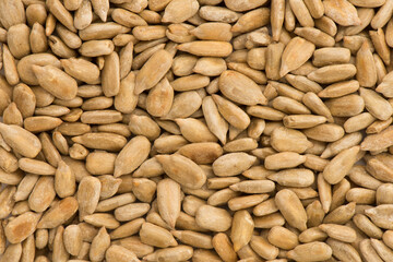 Roasted sunflower seeds