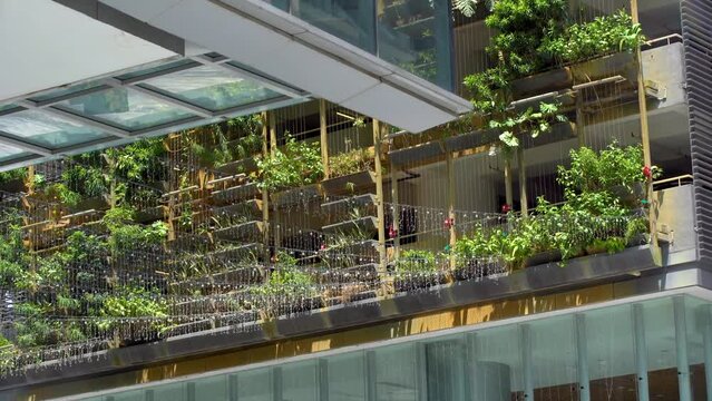 Sustainable Building with green vertical garden