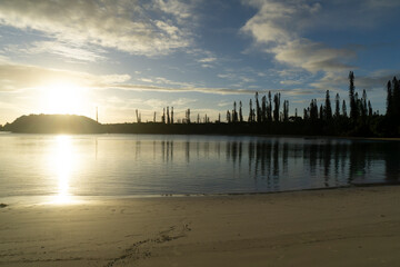 Reflection Pine Trees On The Sea