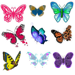set of butterflies