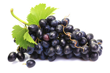 Grape fruit 