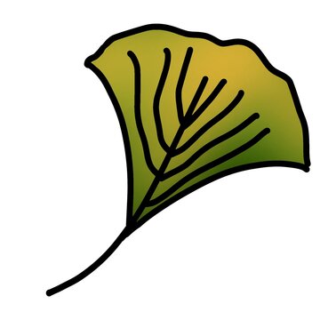 Kilustrasi daun ginko hiju pupus