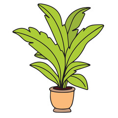Houseplant colored outline isolated on white background. House plant hand drawn in doodle style for decoration. Vector illustration.