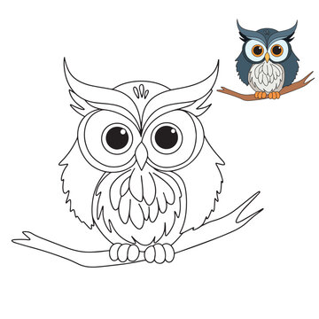 Owl doodle. Owl bird coloring page. Bird coloring book for children education. Vector illustration.