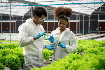 Two scientists holding beaker and test tube of solution to researching about hydroponics vegetable