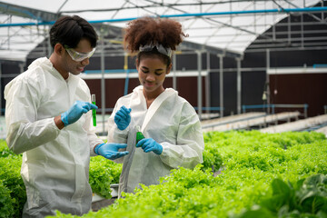 Two scientists holding beaker and test tube of solution to researching about hydroponics vegetable