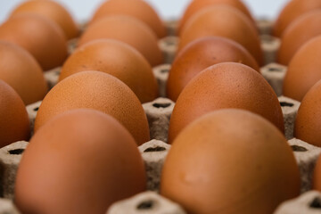 Raw chicken eggs in egg box close up. Eggs are in the panel. Fresh chicken eggs in a cardboard container in the kitchen.