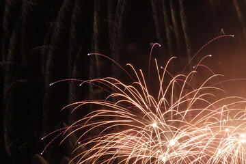 Fireworks exhibition in a summer night