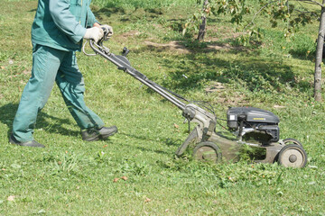 A worker - a gardener cuts the grass in a garden or park with a gasoline lawn mower.