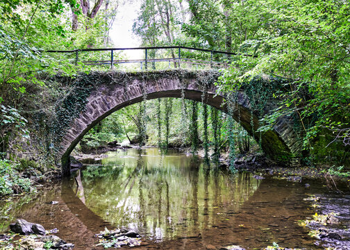 A fairytale overgrown clinker bridge on the way to Eltz Castle.