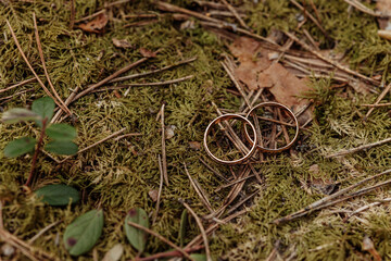 Golden wedding rings on forest ground moss background. High quality photo