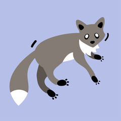 grey fox with blue background, illustration in flat style