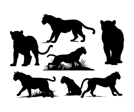 Vector Collection Of Animal Tiger Silhouette
