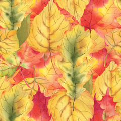 Seamless pattern of maple and oak leaves. Watercolor illustration. Autumn composition. Thanksgiving, Halloween.