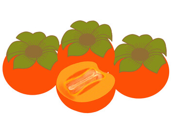 Persimmon drawing
