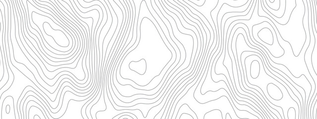 Abstract topographic contours map background. Topography white wave lines vector background. Topographic map Patterns, Topographic map and place for texture.  Wavy curve lines banner design.