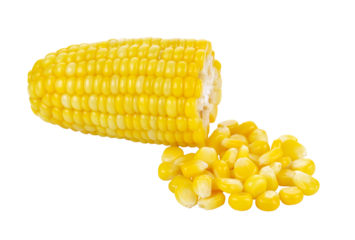 Corn on the cob kernels transparent png