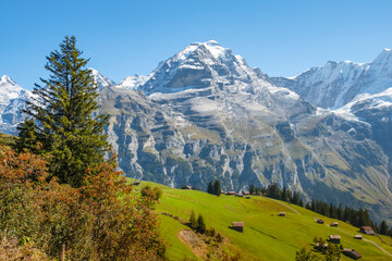 Fototapeta premium Traditional alpine village in touristic valley Lauterbrunnen, Switzerland attraction