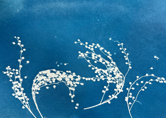 Summer flowers cyanotype blue print. Summer illustration