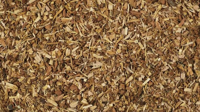 Crushed oak bark is used in folk medicine as decoction or tincture. Strong astringent with a tanning effect. 4K Video, Rotating.
