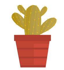 beautiful cactus in a pot