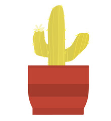 cute cactus in a pot