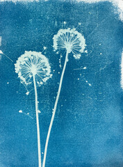 Summer flowers cyanotype blue print. Summer illustration - 638308061