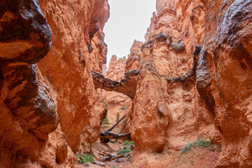 Bryce Canyon