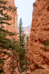 Bryce Canyon