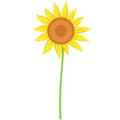 Yellow Sunflower Flat Illustration Isolated