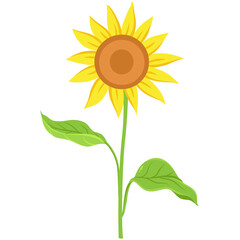 Yellow Sunflower Flat Illustration Isolated