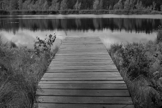 Black and white photo.  Lake landscape with bridge. Lake on sunny day. Summer scenic